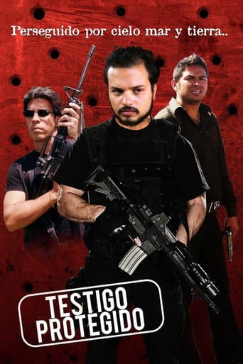 Watch Testigo protegido free online