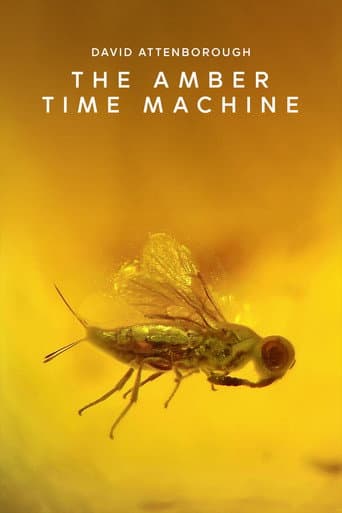Watch The Amber Time Machine free online