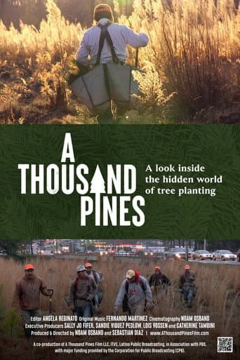 Watch A Thousand Pines free online