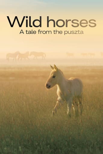 Watch Wild Horses - A Tale From The Puszta free online