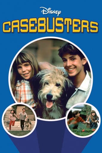 Watch Casebusters free online