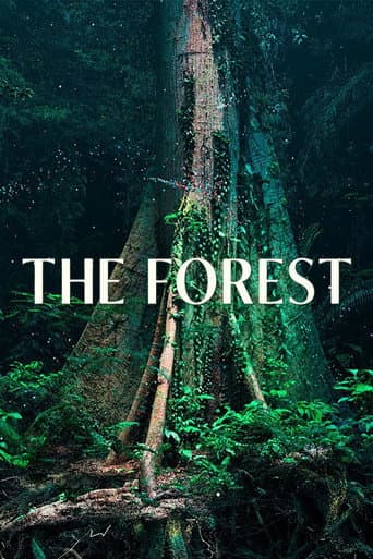 Watch The Forest free online