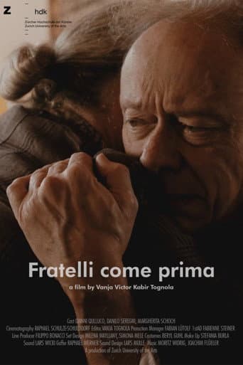 Watch Brothers Again free online