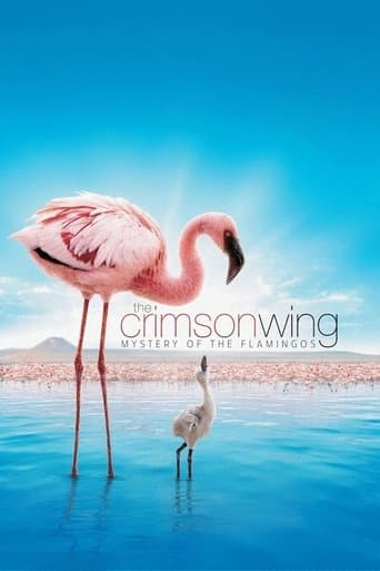 Watch The Crimson Wing: Mystery of the Flamingos free online