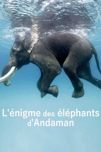 Watch L'énigme des éléphants d'Andaman free online