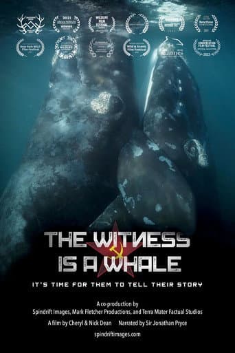 Watch The Witness is a Whale free online