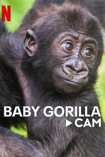 Watch Baby Gorilla Cam free online