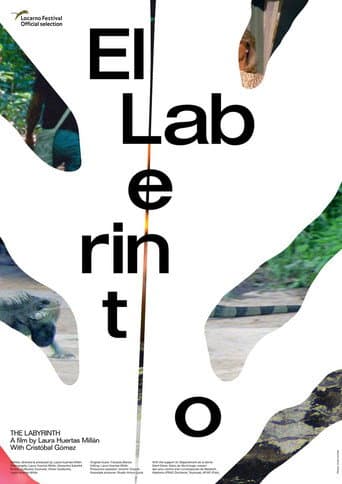 Watch The Labyrinth free online