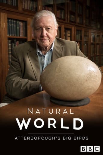 Watch Attenborough's Big Birds free online