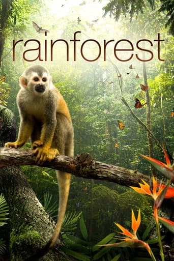 Watch Secret Life of the Rainforest free online