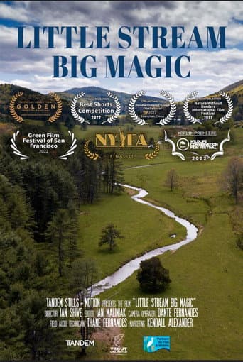 Watch Little Stream, Big Magic free online