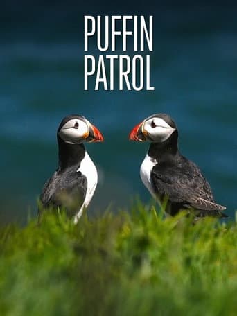 Watch Puffin Patrol free online