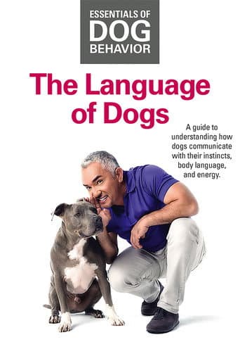 Watch Essentials of Dog Behavior: The Language of Dogs free online