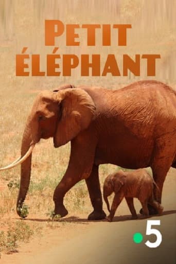Watch Small Elephant free online