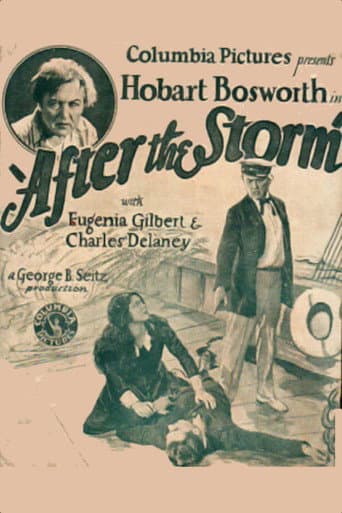 Watch After the Storm free online