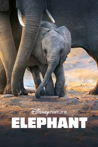 Watch Elephant free online