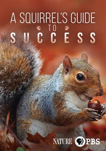 Watch A Squirrel's Guide to Success free online