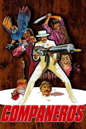 Watch Compañeros free online