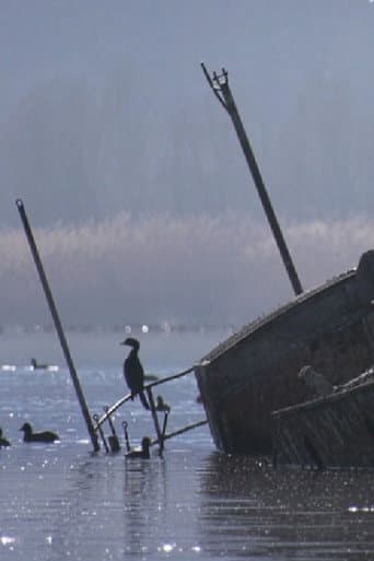 Watch Colors of Prespa: Birds free online