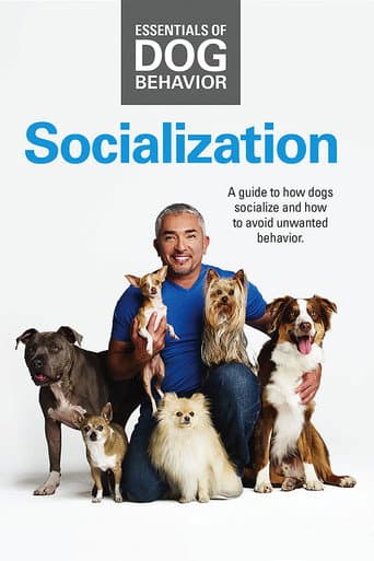 Watch Essentials of Dog Behavior: Socialization free online