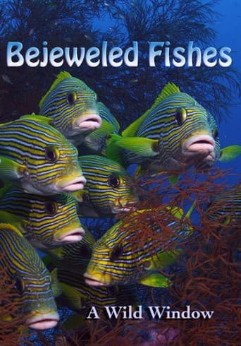 Watch Wild Window: Bejeweled Fishes free online