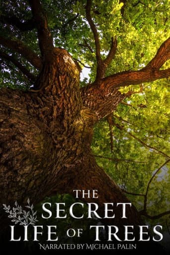Watch The Secret Life of Trees free online