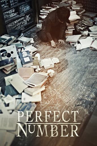 Watch Perfect Number free online
