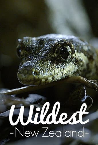 Watch Wildest New Zealand free online