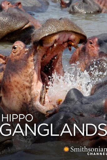Watch Hippo Ganglands free online