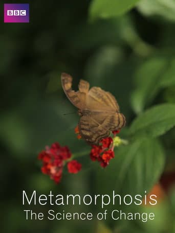 Watch Metamorphosis: The Science of Change free online