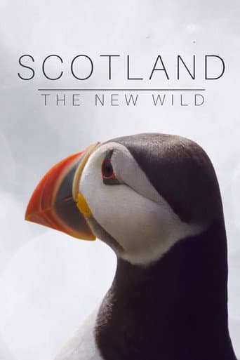 Watch Scotland: The New Wild free online