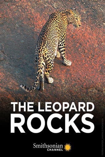 Watch The Leopard Rocks free online