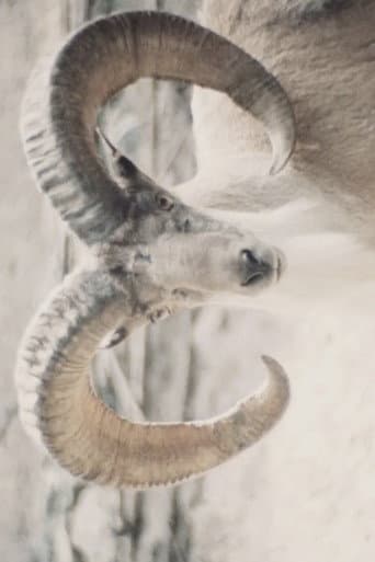 Watch Paradies der Tiere free online