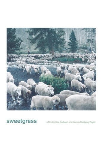 Watch Sweetgrass free online